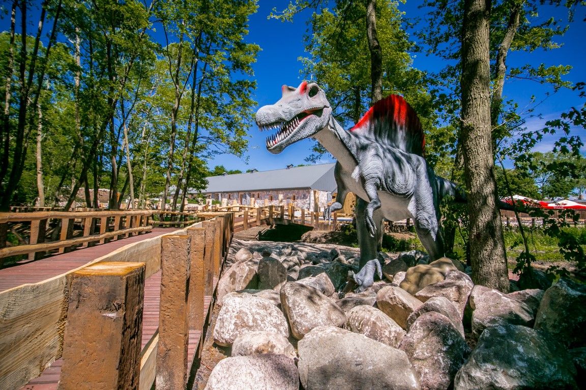 Ścieżka Dinozaurów – zdjęcie 6