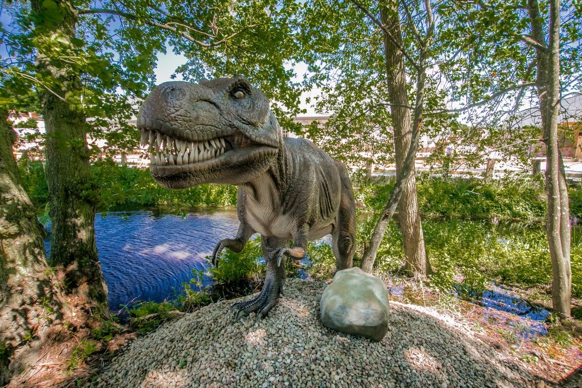 Ścieżka Dinozaurów – zdjęcie 3