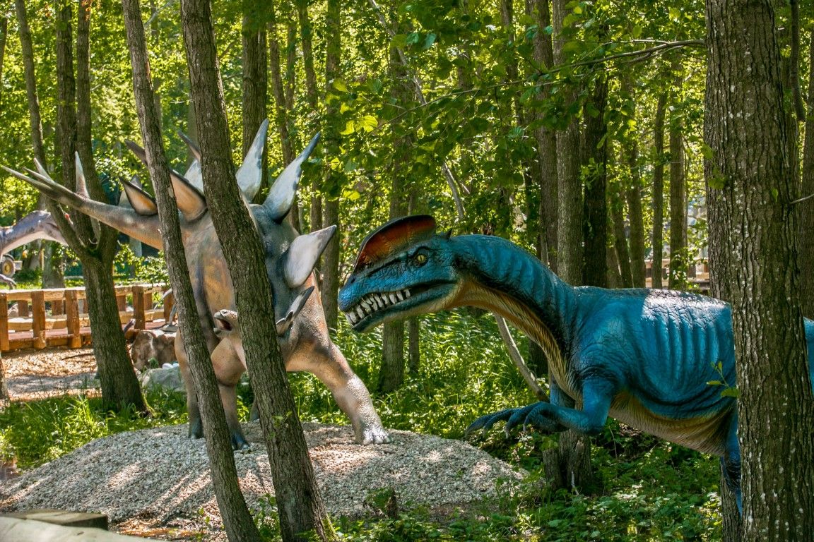 Ścieżka Dinozaurów – zdjęcie 2