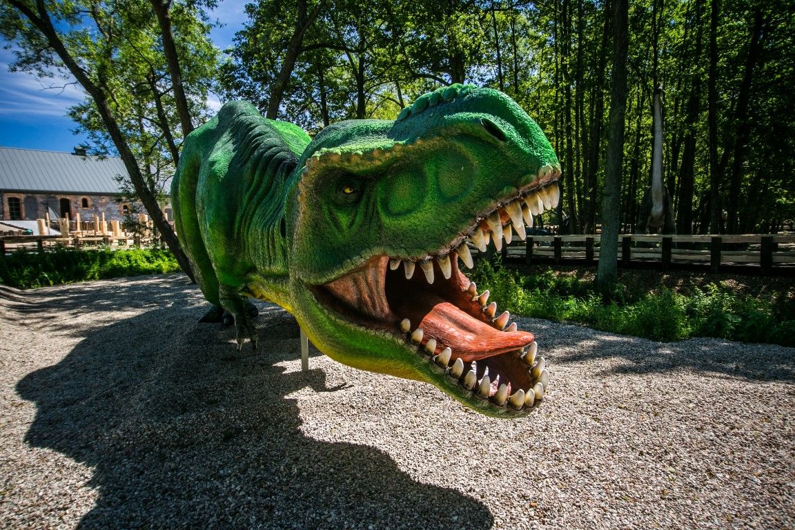 Ścieżka Dinozaurów – atrakcja w Parku Ewolucji koło Gdańska