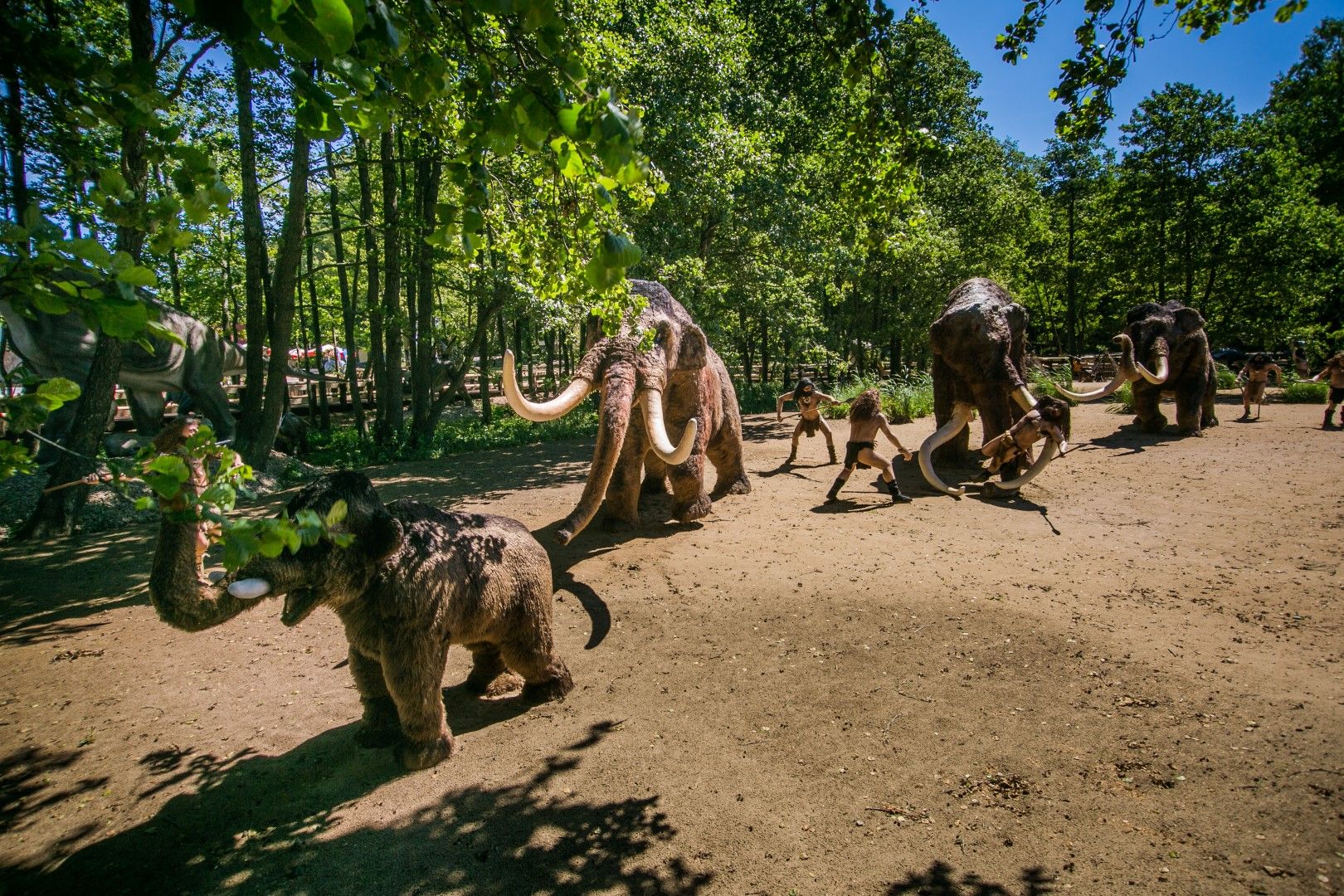 Świat Człowieka Pierwotnego – zdjęcie 1