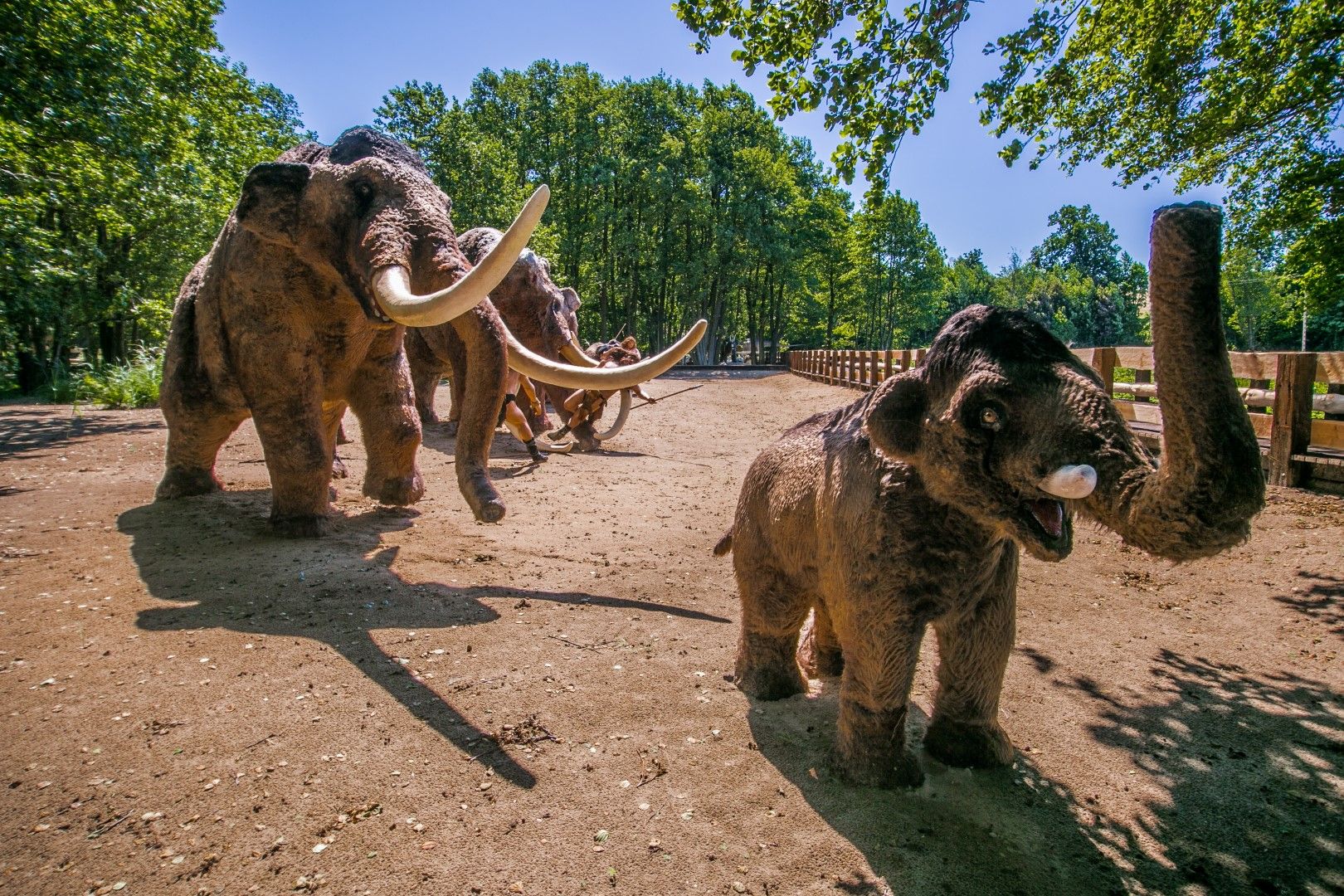 Świat Człowieka Pierwotnego – zdjęcie 2