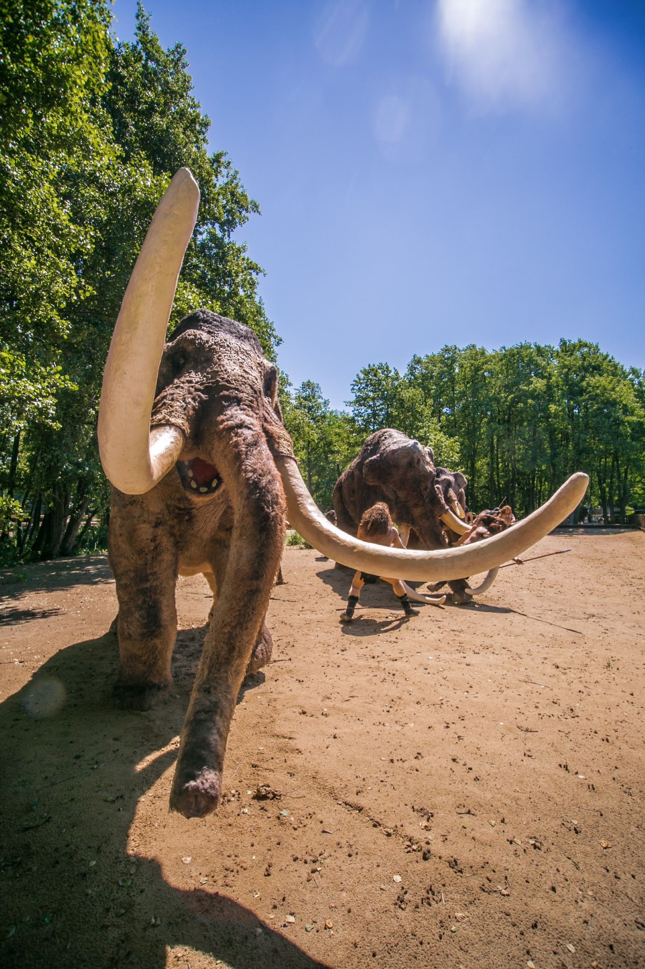 Świat Człowieka Pierwotnego – atrakcja w Parku Ewolucji koło Gdańska
