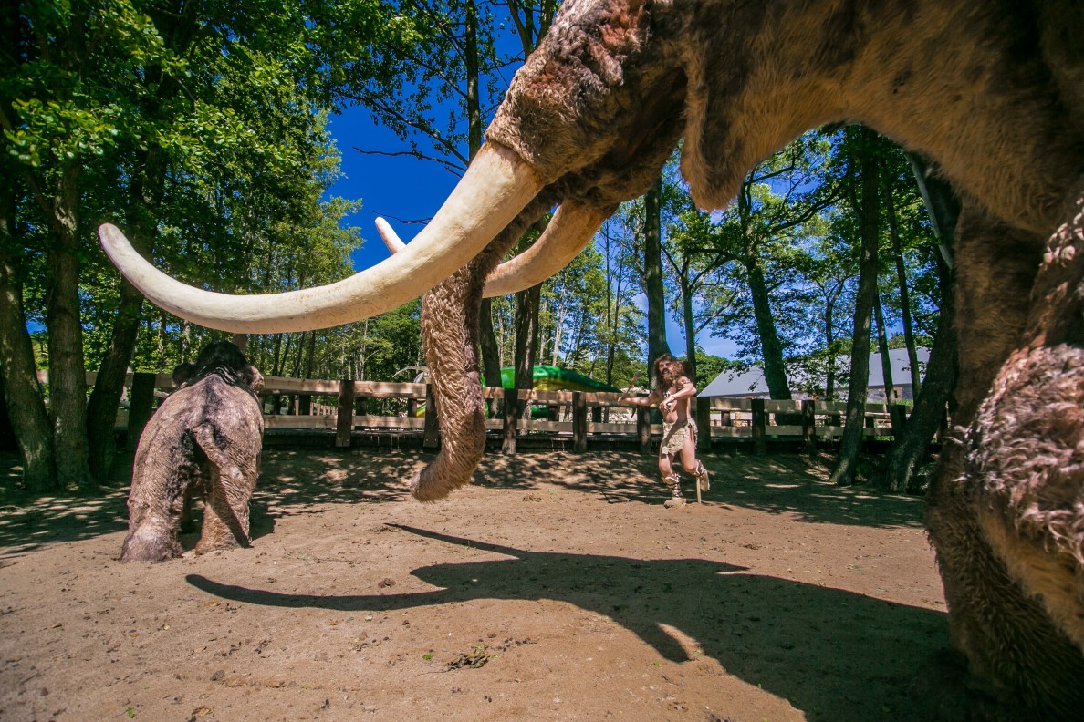 Świat Człowieka Pierwotnego – zdjęcie 4