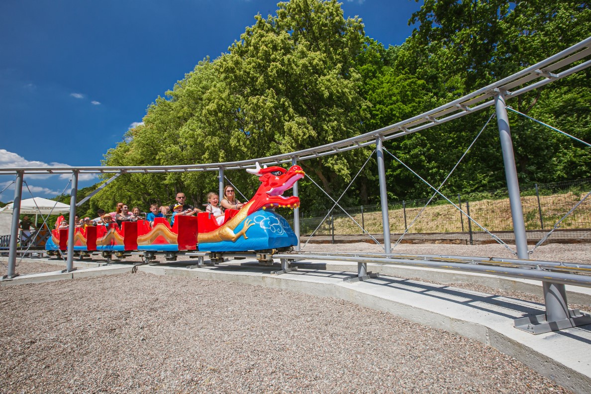 Rollercoaster Dragon – zdjęcie 3