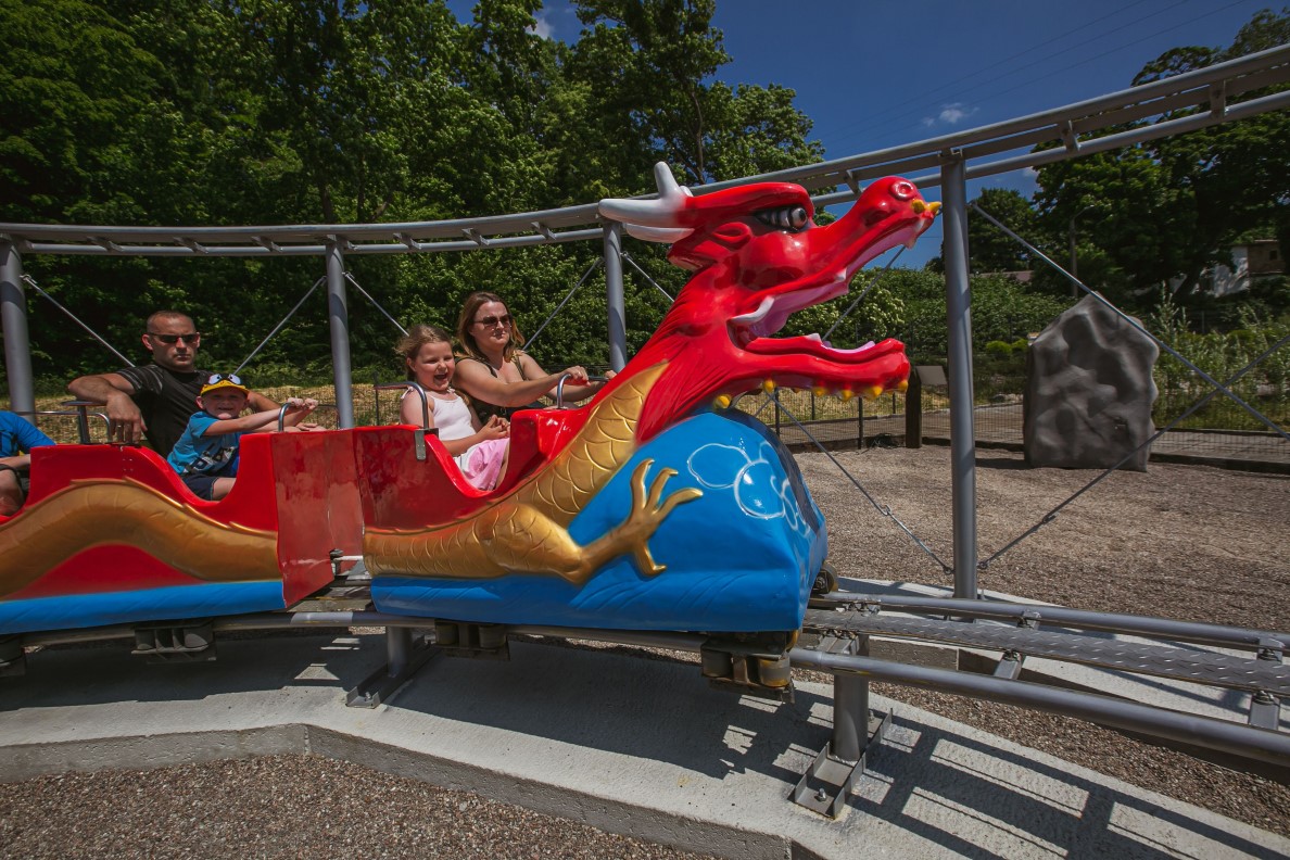 Rollercoaster Dragon – zdjęcie 1