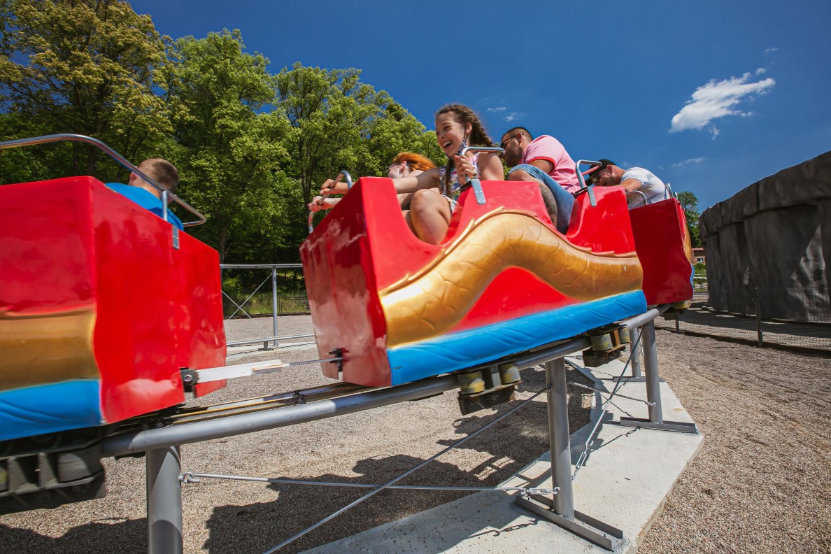 Rollercoaster Dragon – zdjęcie 6