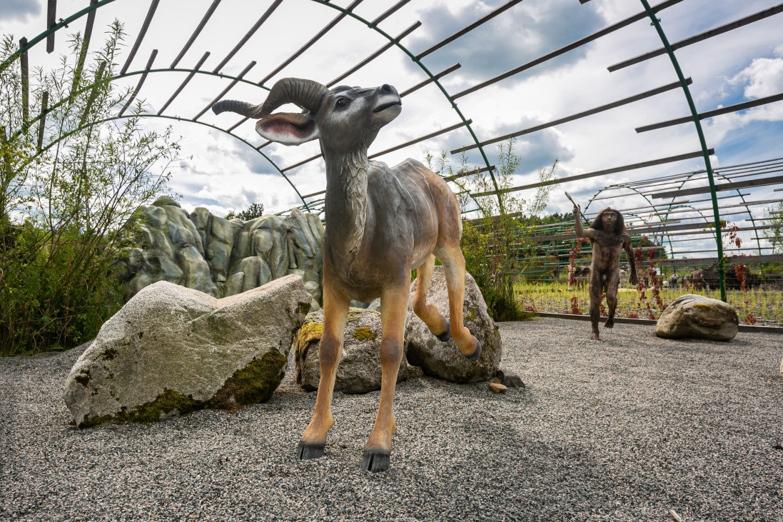 Obrazy Prehistorii – zdjęcie 5