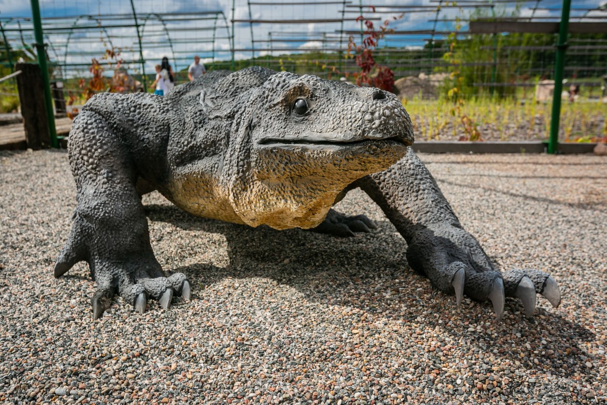 Obrazy Prehistorii – zdjęcie 7