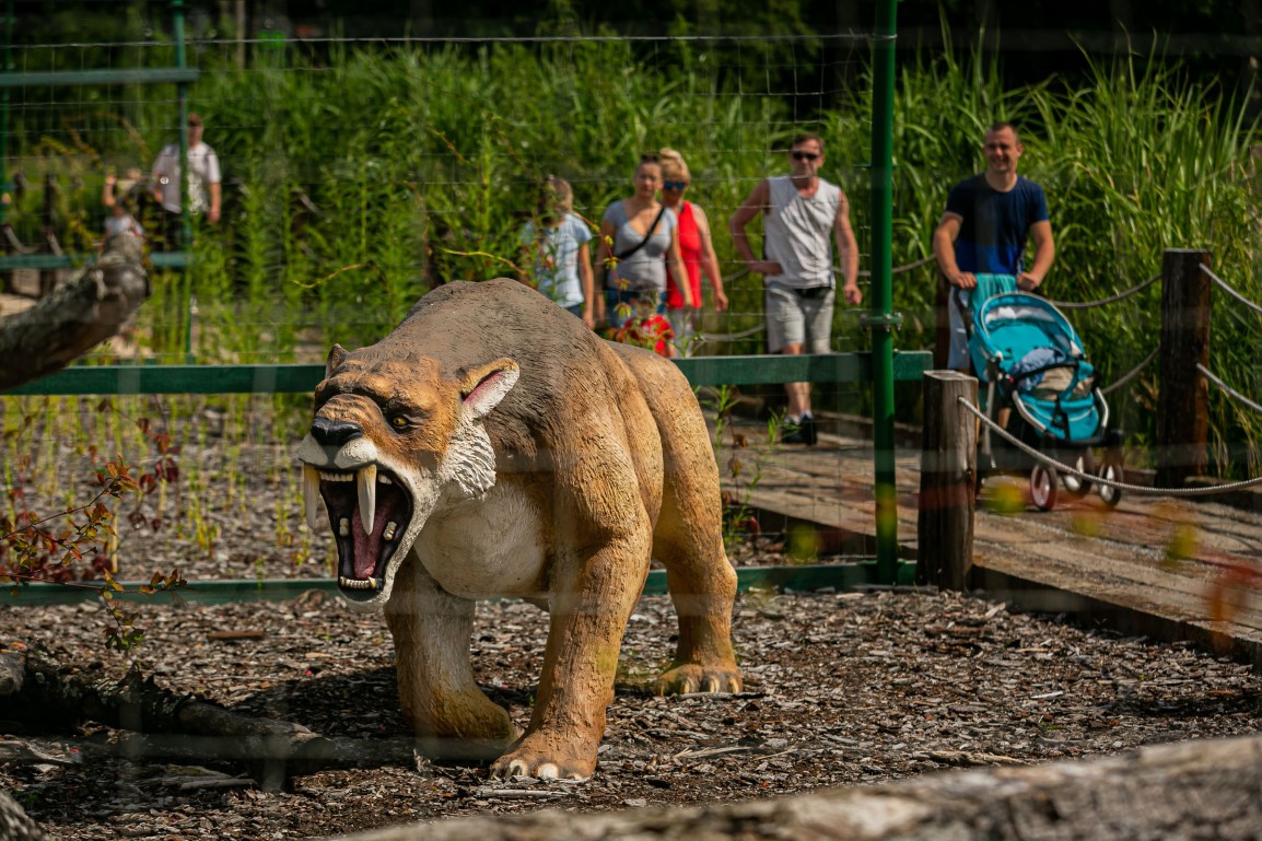 Obrazy Prehistorii – zdjęcie 2
