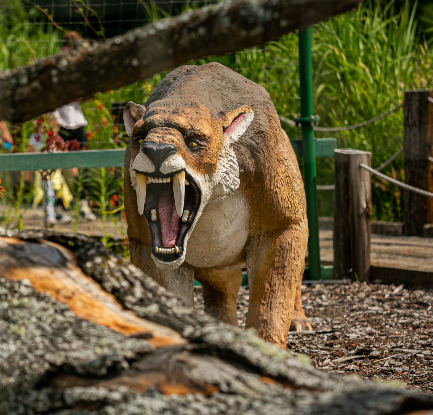 Obrazy Prehistorii – atrakcja w Parku Ewolucji koło Gdańska