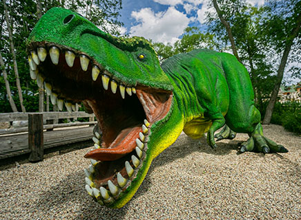 Atrakcje w Parku Ewolucji