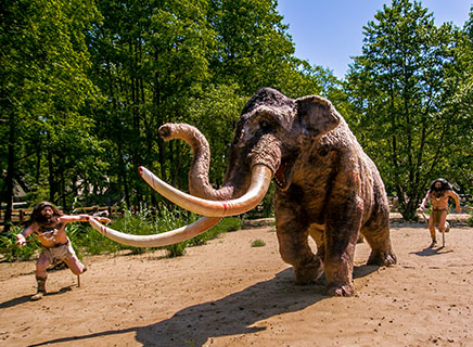 Zabawa w Parku Ewolucji